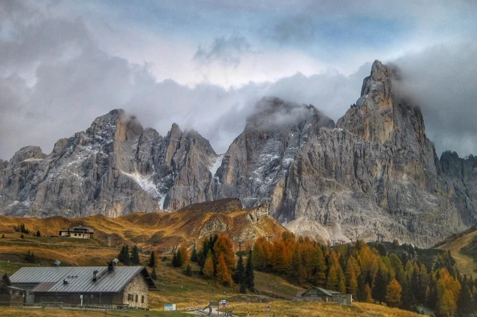 Larici e paesaggio autunnale a Passo Rolle