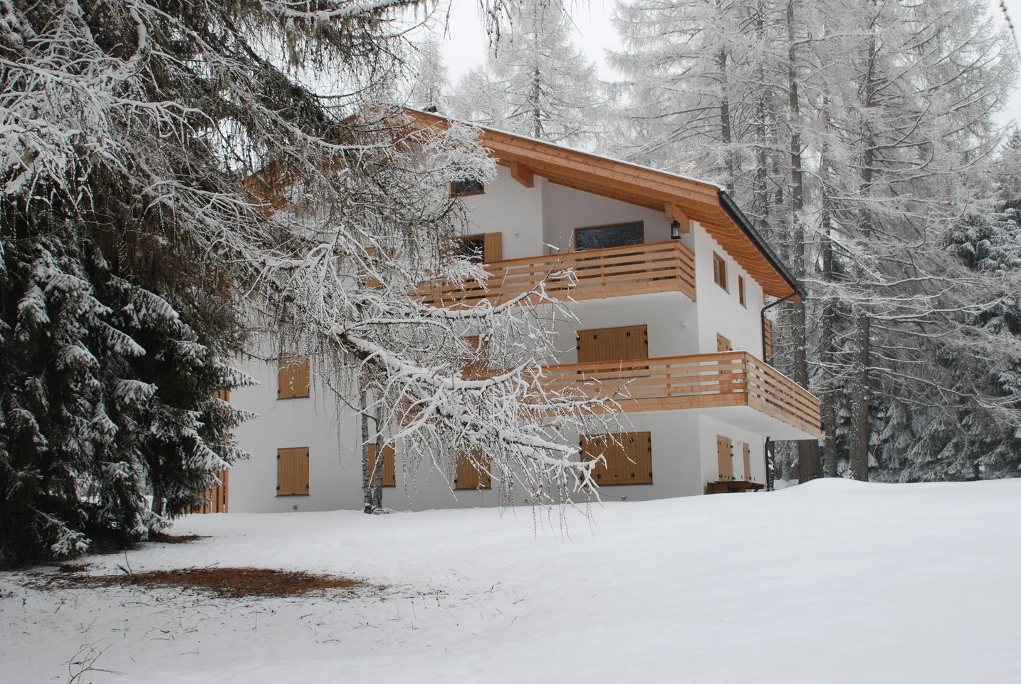 Residenza Larici e i balconi nella neve