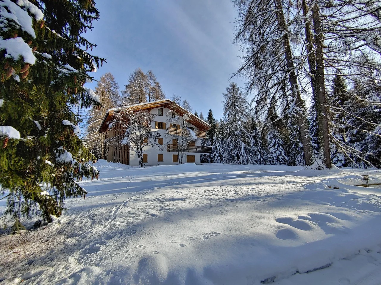 Residenza Larici a Bellamonte, tra gli alberi innevati
